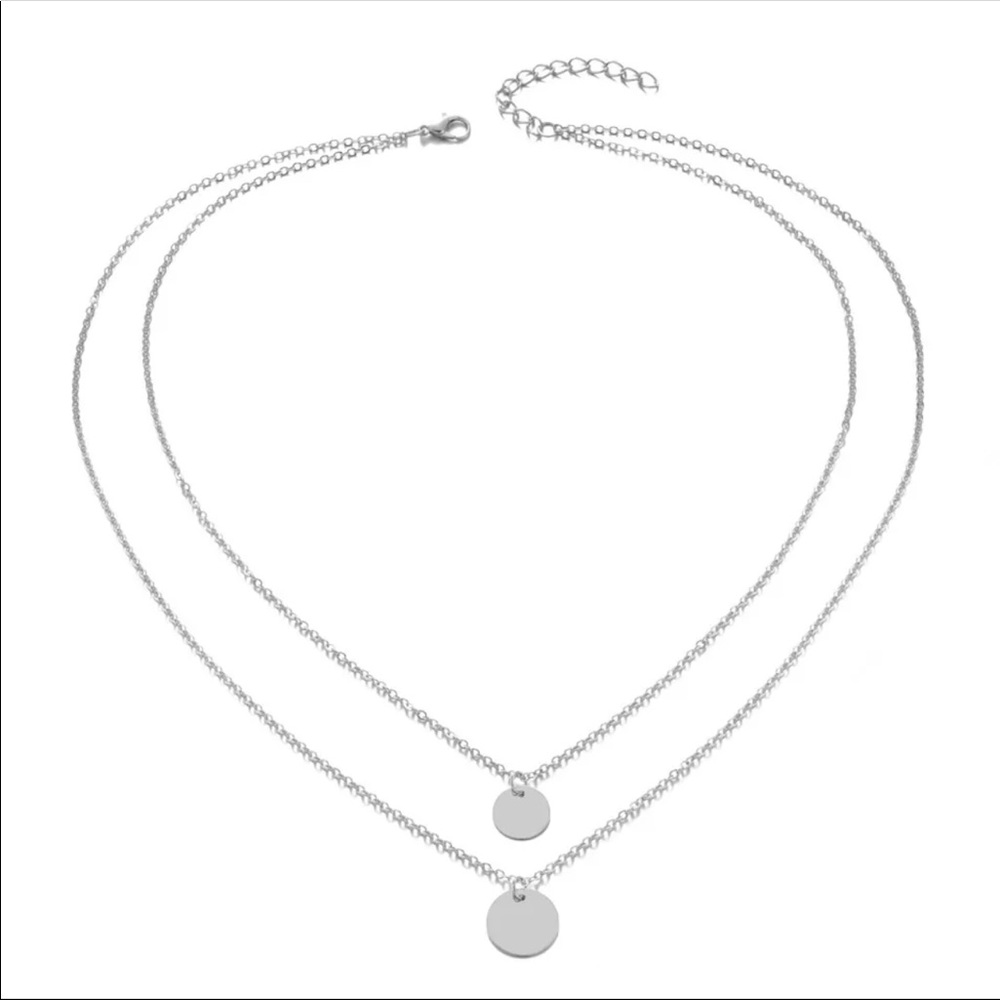 Double Layer Silver Disc Necklace - Picture 4 of 5
